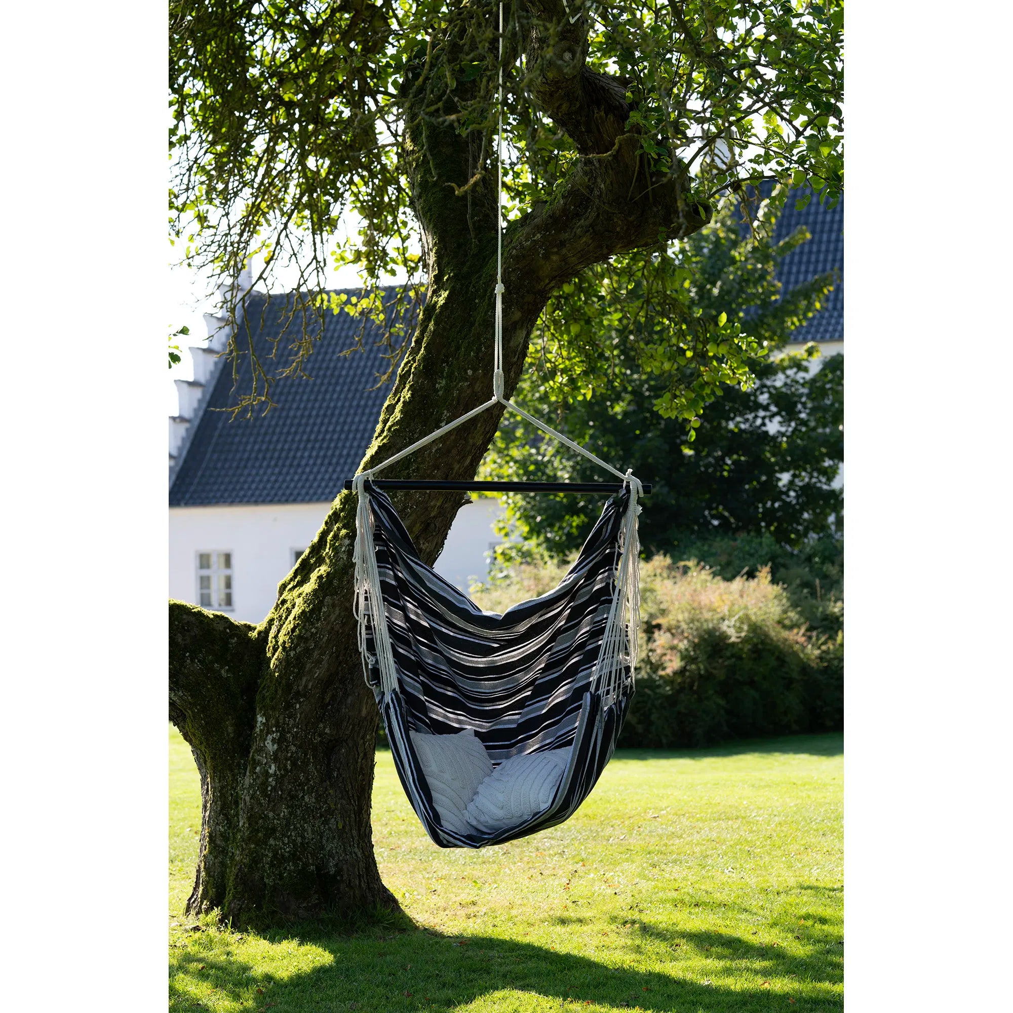 Lamia Hanging Chair
